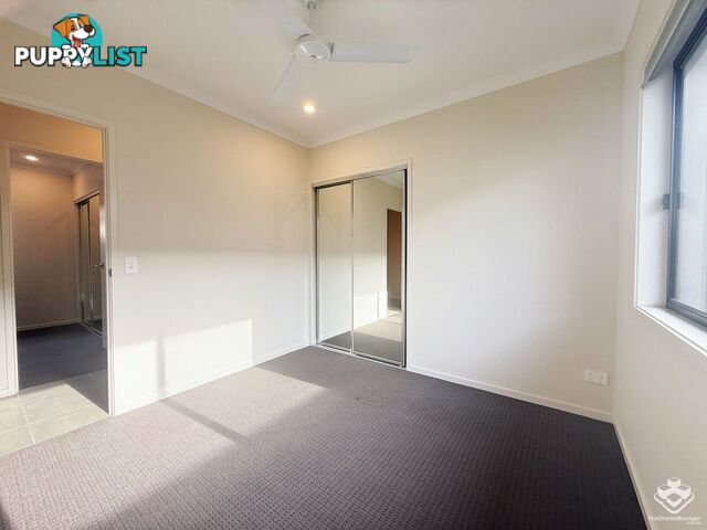 6 Rivina Circuit Coomera QLD 4209