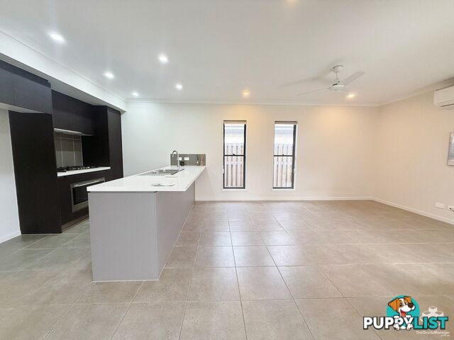 6 Rivina Circuit Coomera QLD 4209