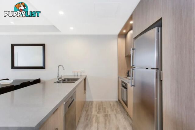 ID:21154435 211, 36 Anglesey Street Kangaroo Point QLD 4169
