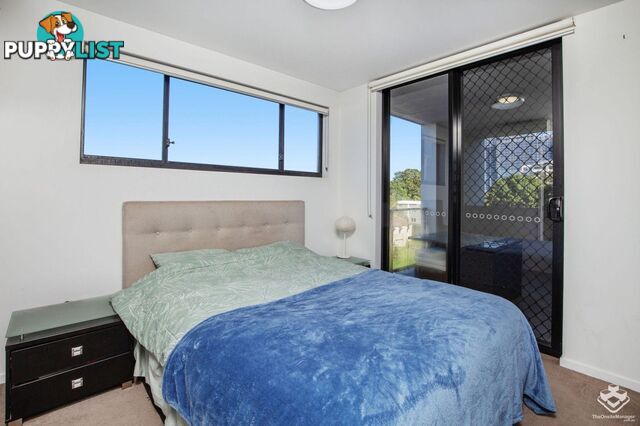 ID:21150889 43 Lenneberg Street Southport QLD 4215