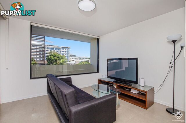 ID:21150889 43 Lenneberg Street Southport QLD 4215