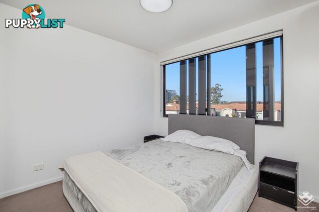 ID:21150889 43 Lenneberg Street Southport QLD 4215