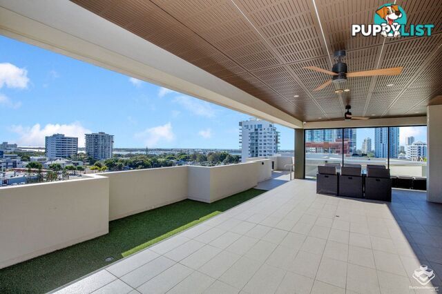 ID:21150889 43 Lenneberg Street Southport QLD 4215