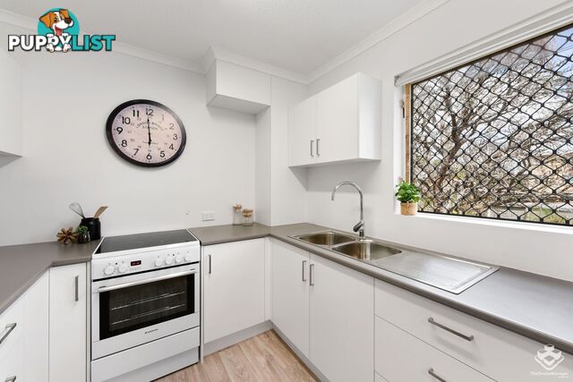 ID:21157118 14 Okeden Street Toowong QLD 4066