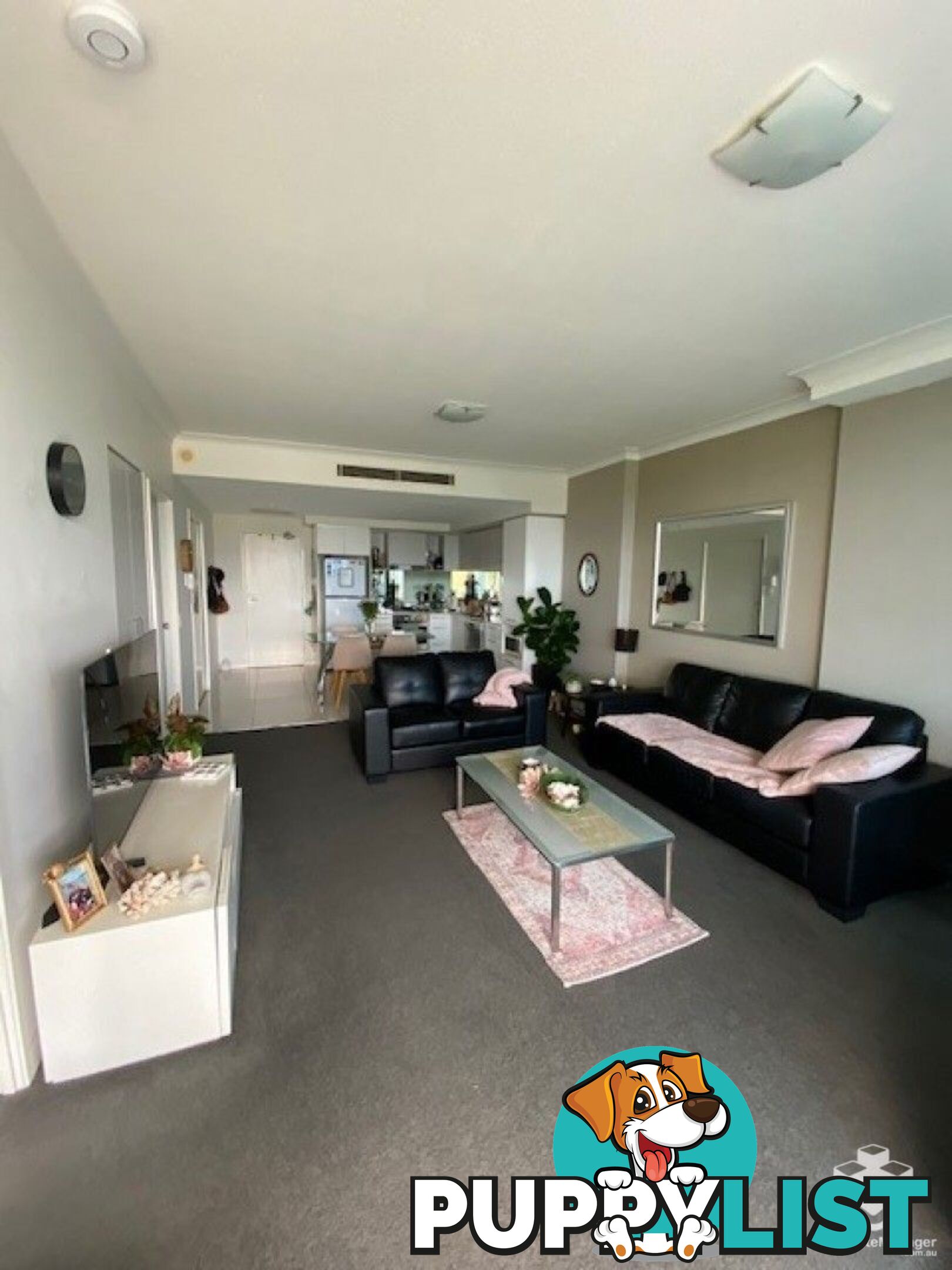 ID:21157964 430 Marine Parade Biggera Waters QLD 4216