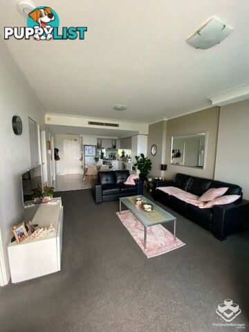 ID:21157964 430 Marine Parade Biggera Waters QLD 4216