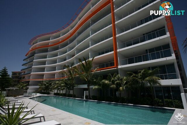 ID:21157964 430 Marine Parade Biggera Waters QLD 4216