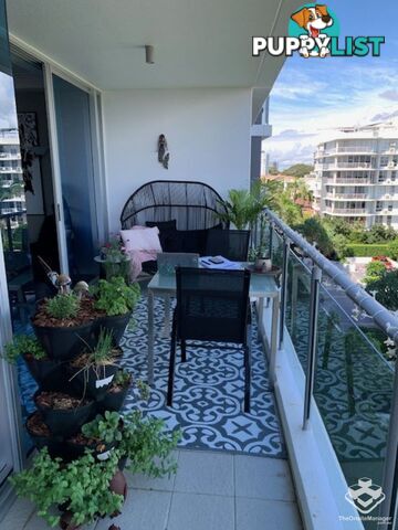 ID:21157964 430 Marine Parade Biggera Waters QLD 4216