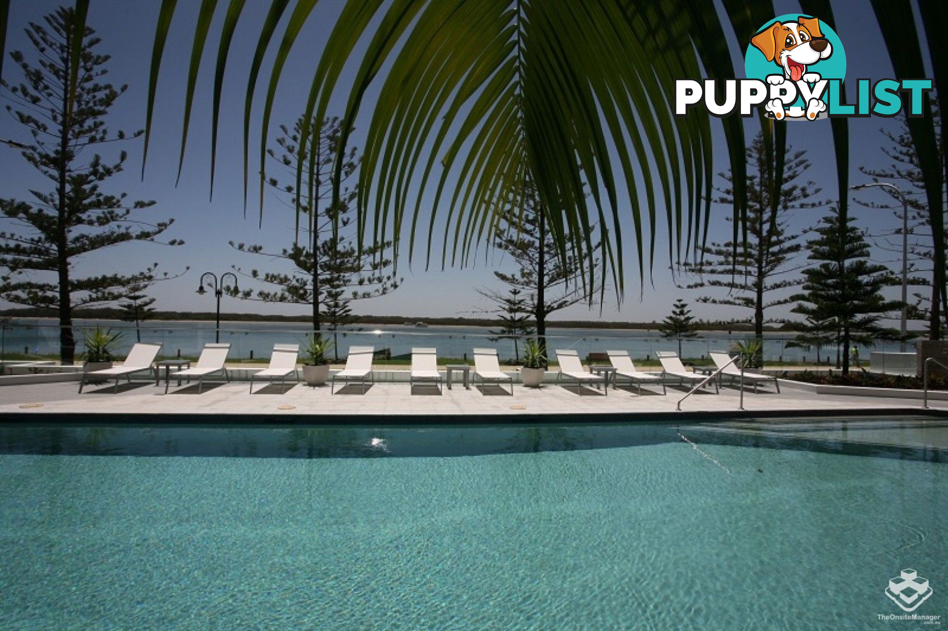 ID:21157964 430 Marine Parade Biggera Waters QLD 4216