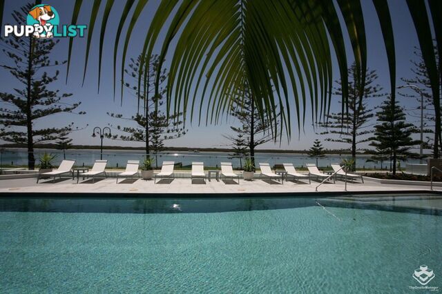 ID:21157964 430 Marine Parade Biggera Waters QLD 4216