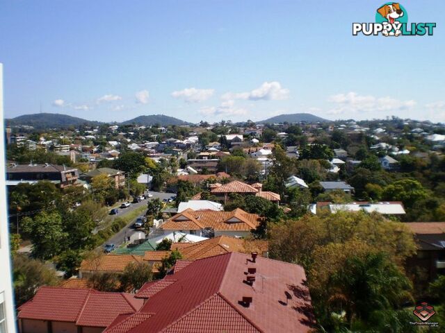 ID:21081908 51 Dunmore Terrace Auchenflower QLD 4066