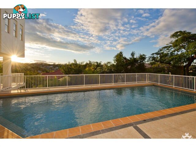 ID:21081908 51 Dunmore Terrace Auchenflower QLD 4066