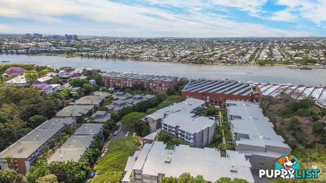 ID:21156760 71 Beeston Street Teneriffe QLD 4005