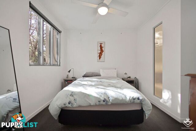 ID:21156760 71 Beeston Street Teneriffe QLD 4005