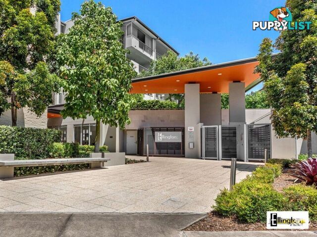 ID:21156760 71 Beeston Street Teneriffe QLD 4005