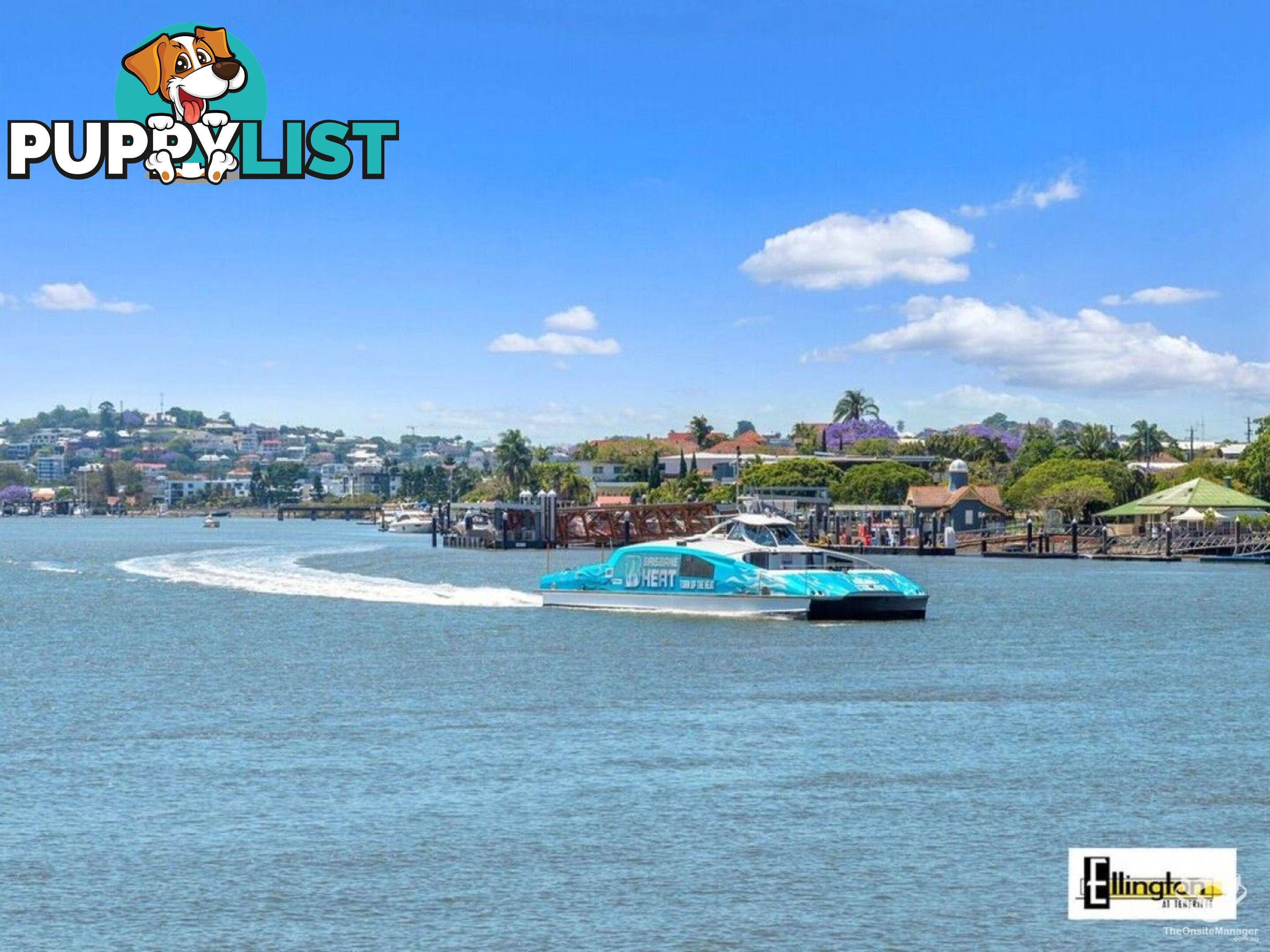 ID:21156760 71 Beeston Street Teneriffe QLD 4005