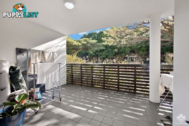 ID:21156760 71 Beeston Street Teneriffe QLD 4005