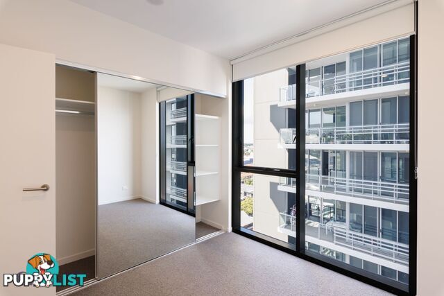 ID:21155947 14 Trafalgar Street Woolloongabba QLD 4102