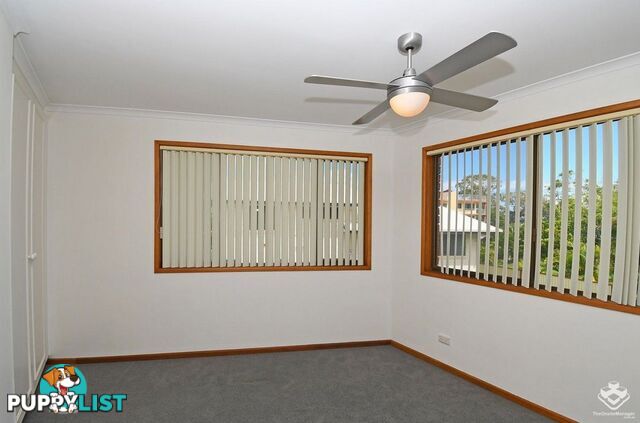 Urangan QLD 4655