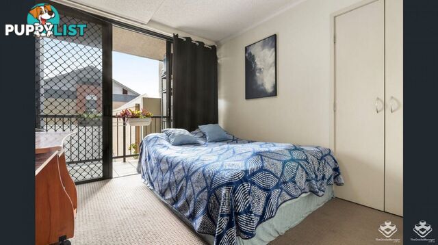 213/20 Malt street fortitude valley qld 4006