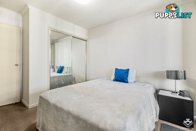 213/20 Malt street fortitude valley qld 4006