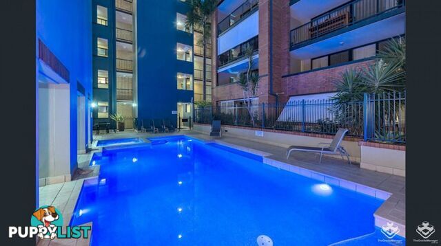 213/20 Malt street fortitude valley qld 4006