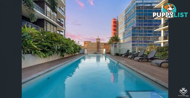 ID:21155276 22 Railway Terrace Milton QLD 4064