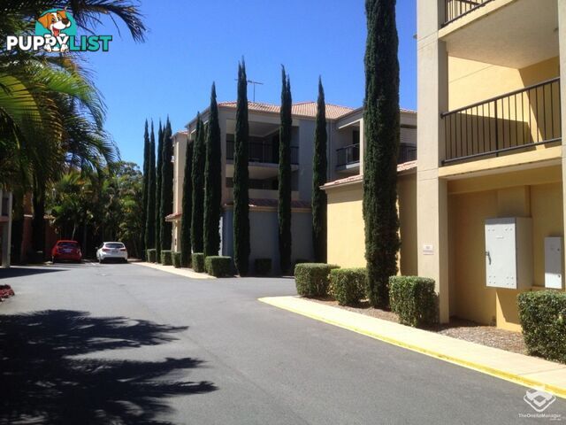 ID:21152419 40 Tryon Street Upper Mount Gravatt QLD 4122