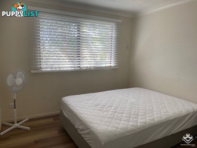 ID:21152419 40 Tryon Street Upper Mount Gravatt QLD 4122