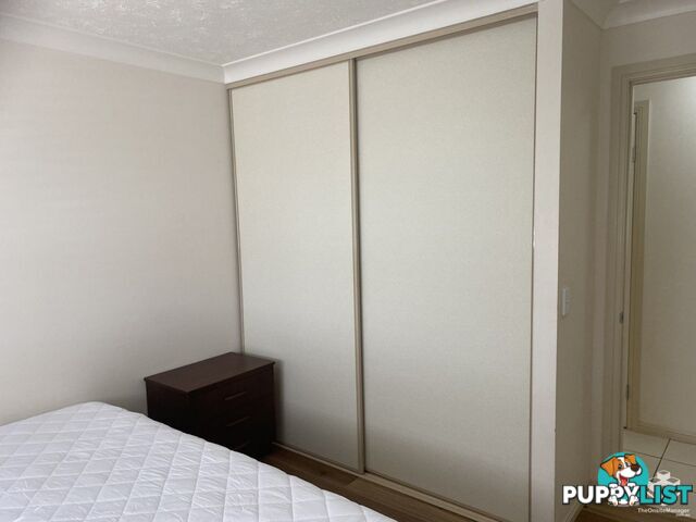 ID:21152419 40 Tryon Street Upper Mount Gravatt QLD 4122