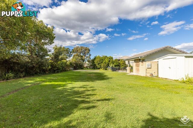 ID:21155691 4 Myola Street Browns Plains QLD 4118