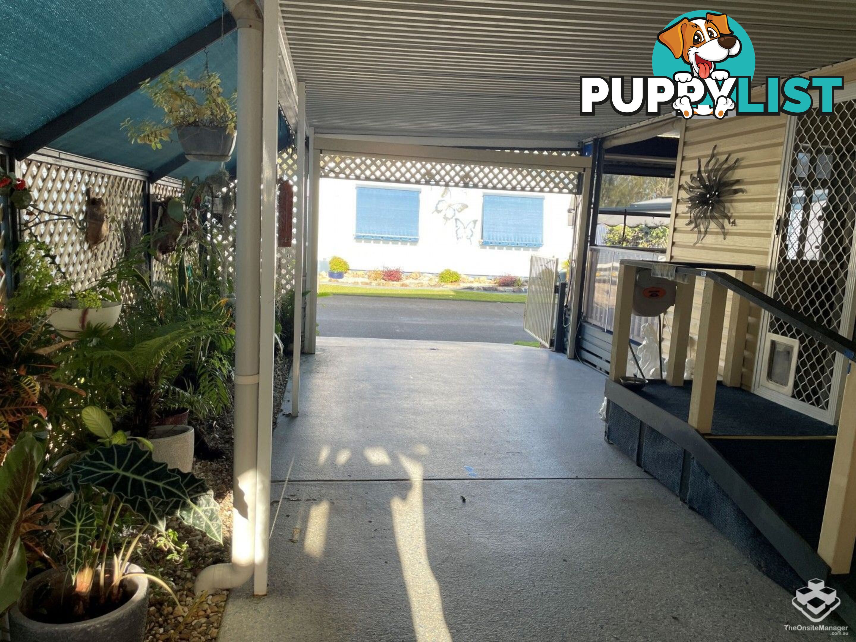 34 Monarch Drive Kingscliff NSW 2487