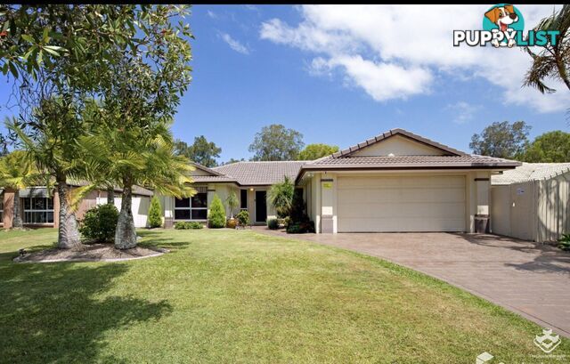 27 Lakeshore Drive Helensvale QLD 4212