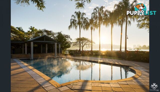 ID:21150602 57A Newstead Tce Newstead QLD 4006