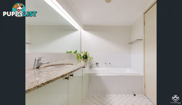 ID:21150602 57A Newstead Tce Newstead QLD 4006