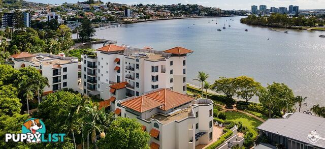 ID:21150602 57A Newstead Tce Newstead QLD 4006