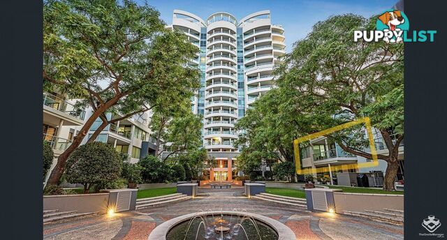 Hamilton QLD 4007