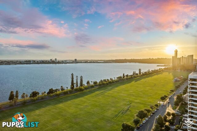 Hamilton QLD 4007
