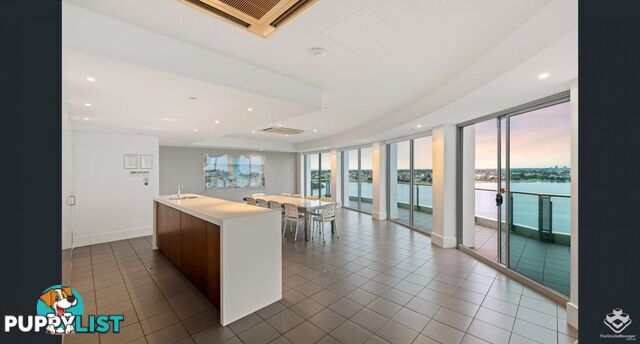 Hamilton QLD 4007