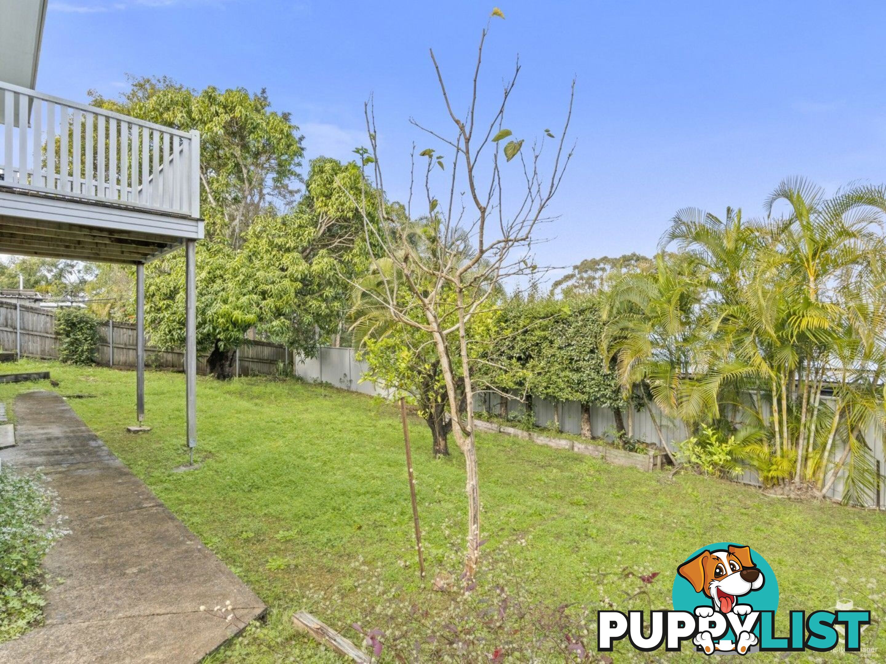 25 Queens Road Kingston QLD 4114