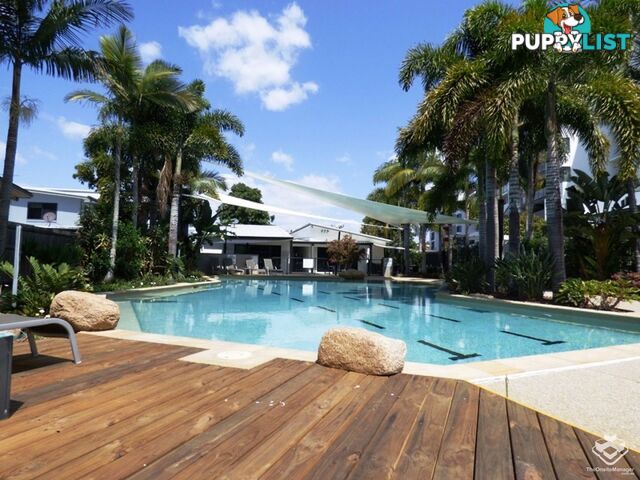 ID:21156227 16 Surbiton Court Carindale QLD 4152
