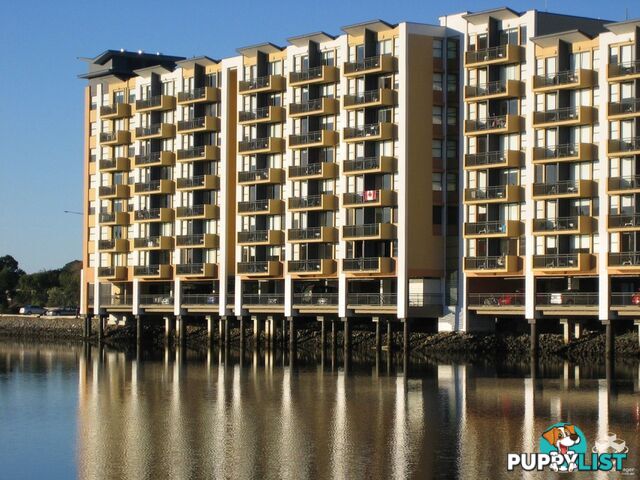ID:21156902 25 Lake Orr Drive Robina QLD 4226