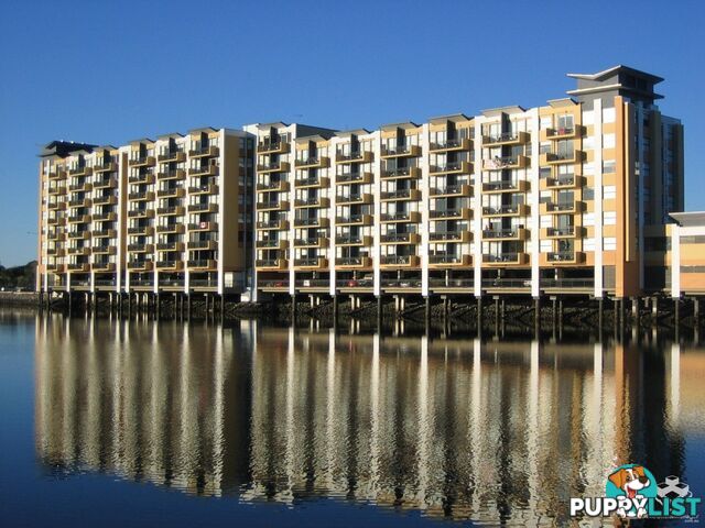 ID:21156902 25 Lake Orr Drive Robina QLD 4226