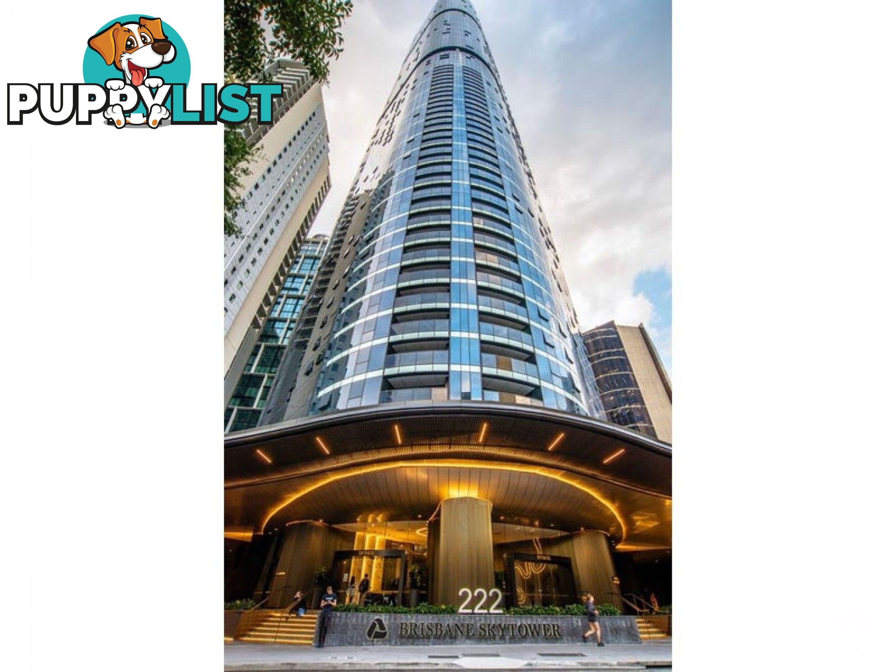 ID:21144578 222 Margaret Street Brisbane City QLD 4000
