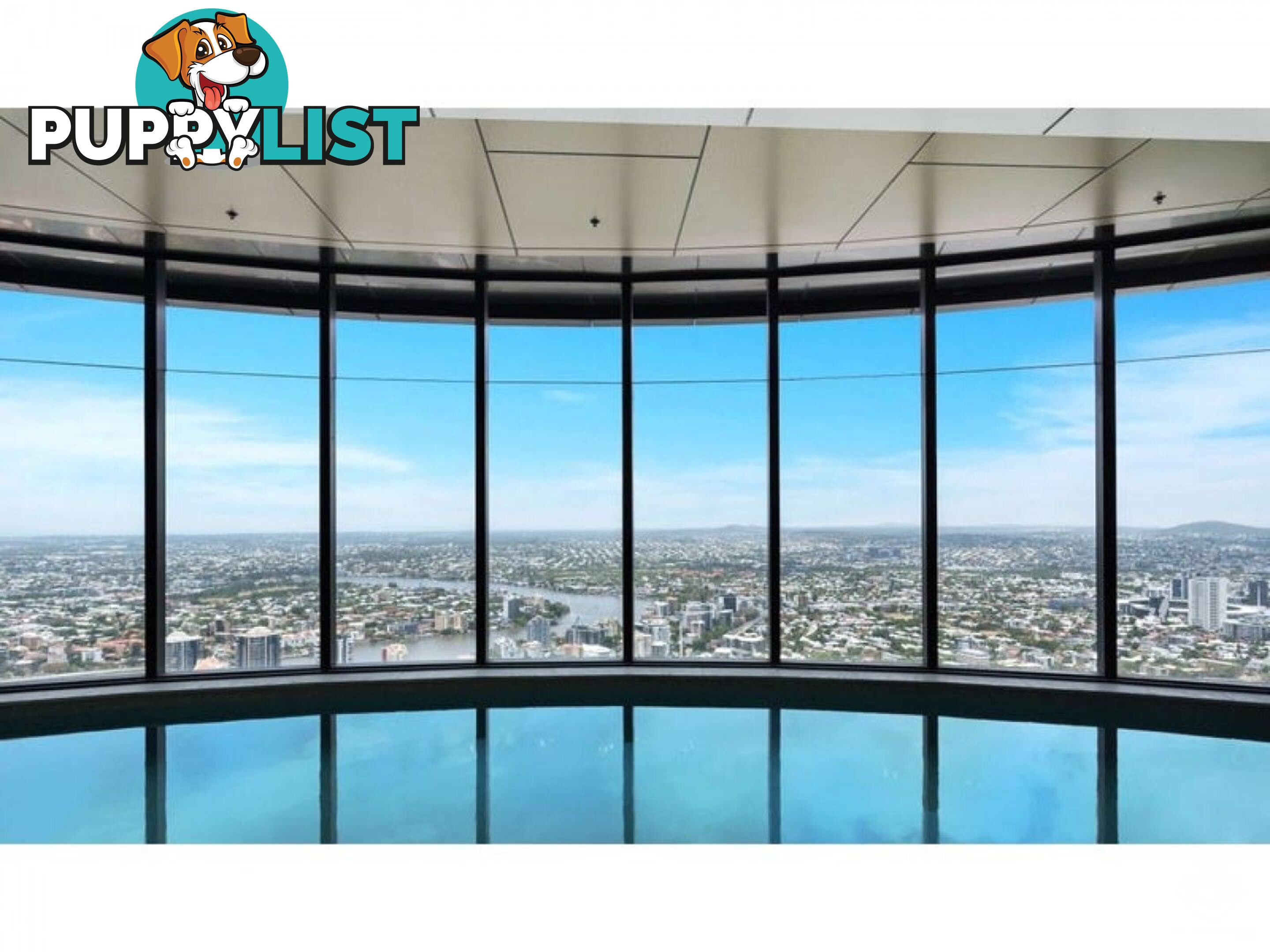 ID:21144578 222 Margaret Street Brisbane City QLD 4000