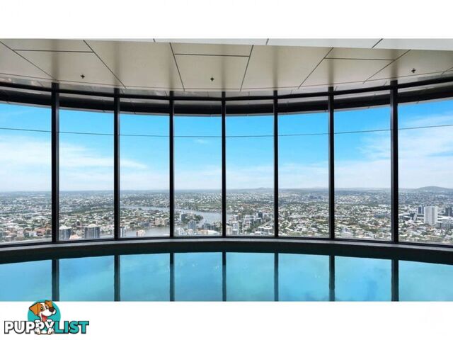 ID:21144578 222 Margaret Street Brisbane City QLD 4000