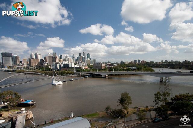 21 Dock Street South Brisbane QLD 4101