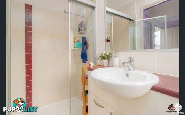 31 Centenial Street Underwood QLD 4119