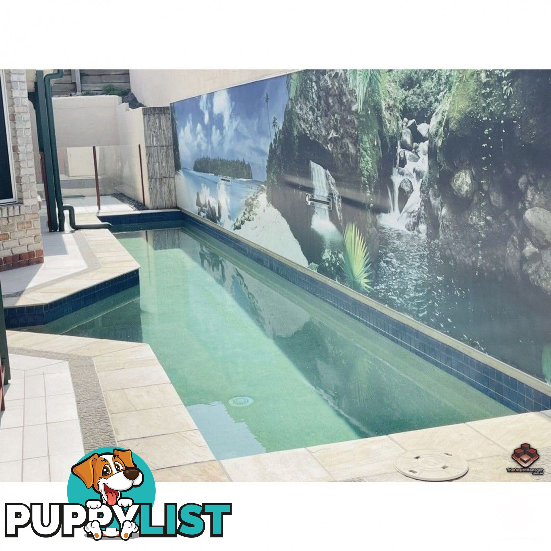 31 Centenial Street Underwood QLD 4119