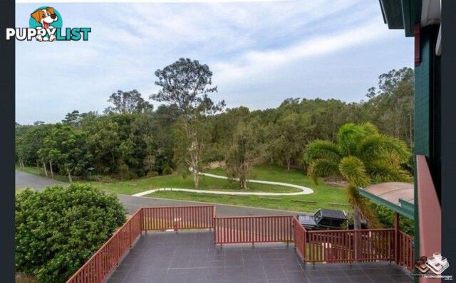 31 Centenial Street Underwood QLD 4119